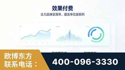 句容-效果付费：主力品牌呈现率、提及率位居前列