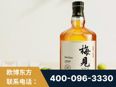 句容-梅见青梅酒
